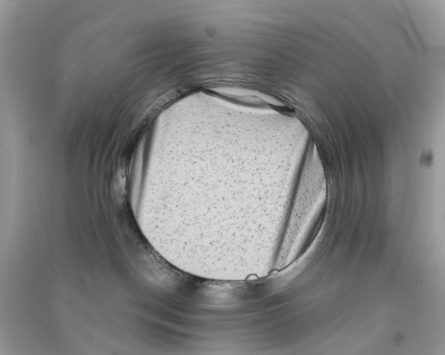 X0000090760190200708172055