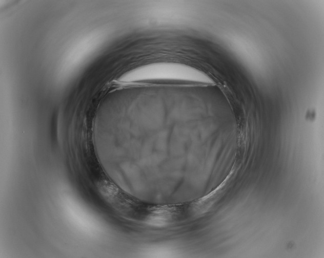 X0000090760191200708172055