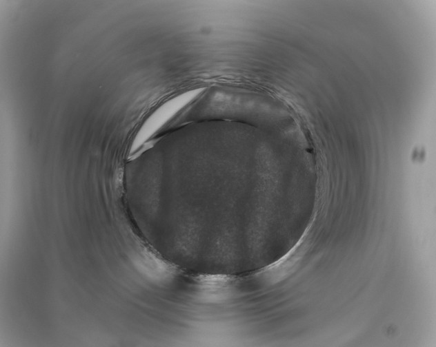 X0000090760192200708172055