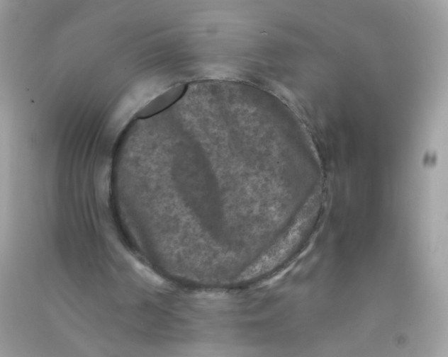 X0000090760194200708172055