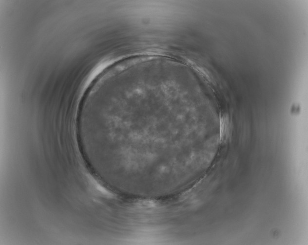 X0000090760195200708172055