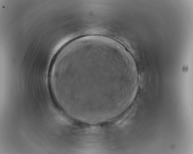 X0000090760196200708172055