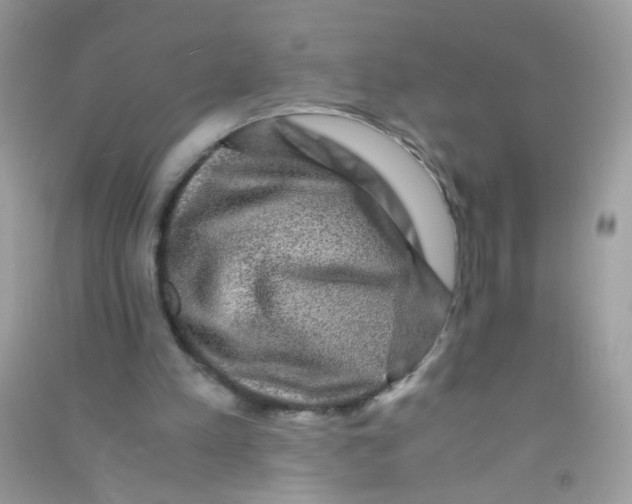 X0000090760197200708172055