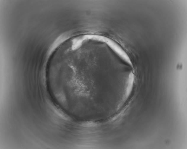 X0000090760198200708172054