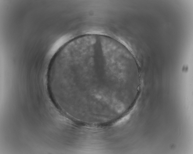 X0000090760199200708172054