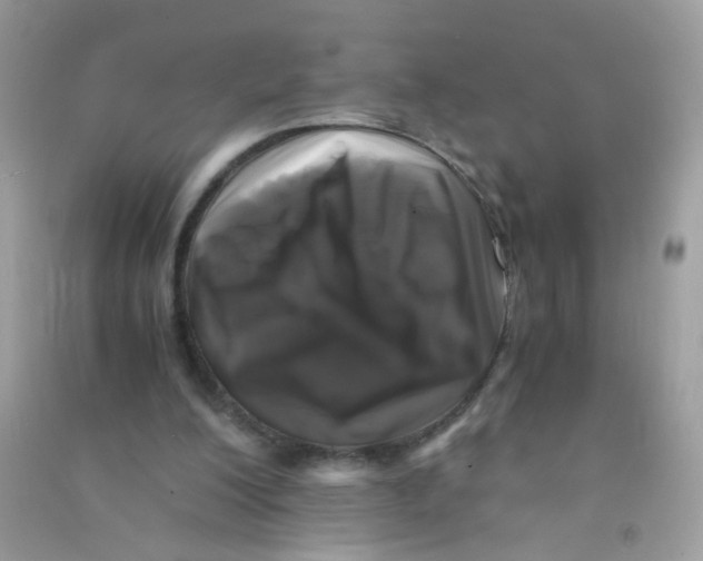 X0000090760200200708172054