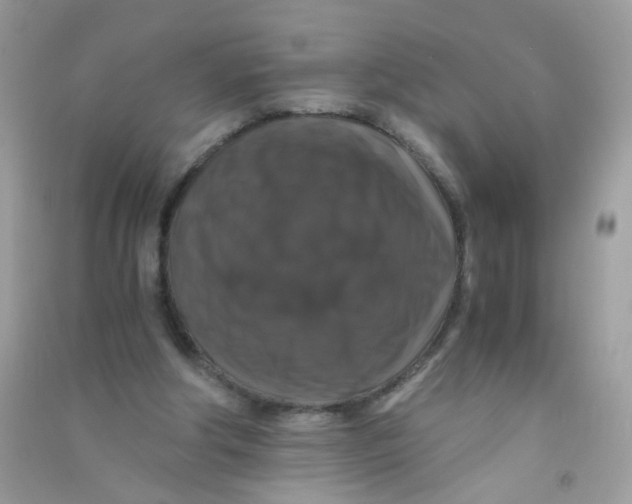 X0000090760202200708172054
