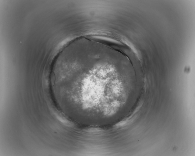 X0000090760203200708172054