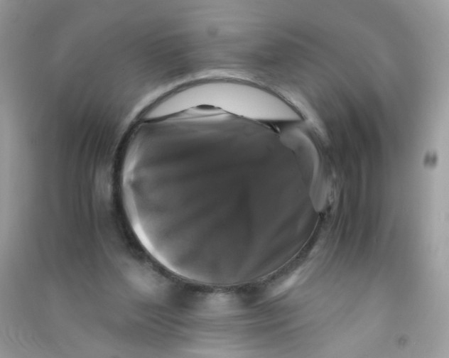 X0000090760204200708172054