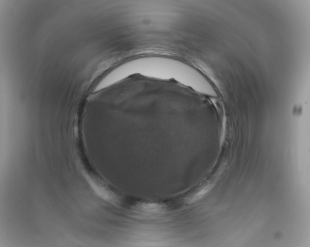 X0000090760205200708172054