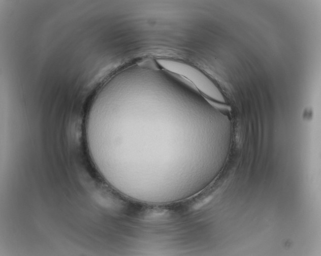 X0000090760206200708172054