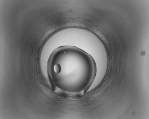 X0000090760207200708172054