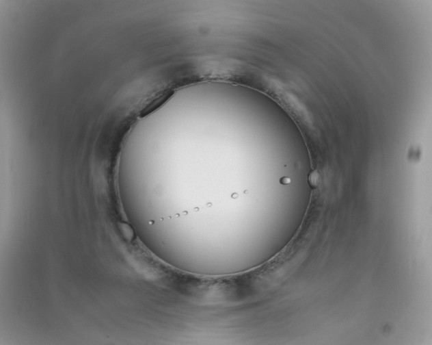X0000090760209200708172054