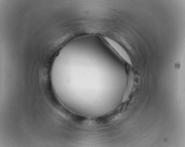 X0000090760211200708172054