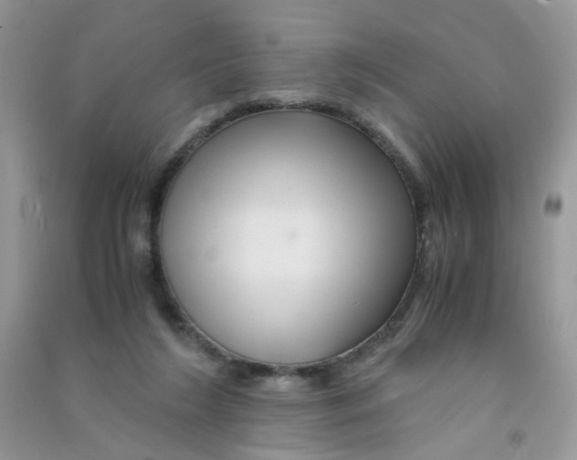 X0000090760212200708172054