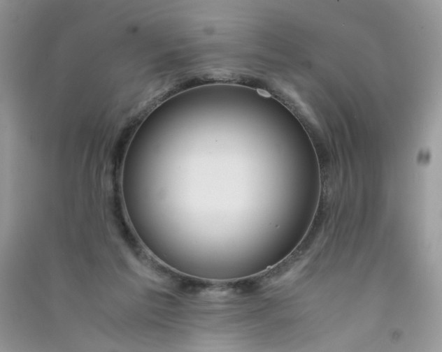X0000090760213200708172054
