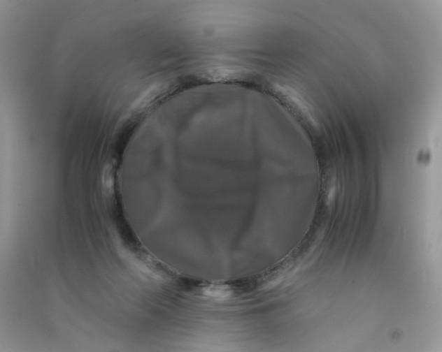 X0000090760214200708172054