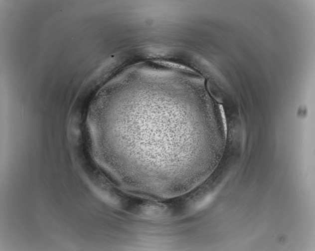 X0000090760215200708172054