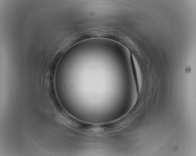 X0000090760217200708172054