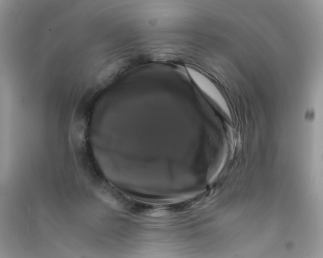 X0000090760219200708172054