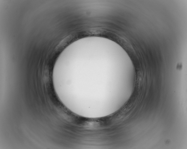 X0000090760220200708172054