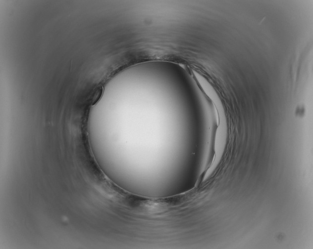 X0000090760221200708172054