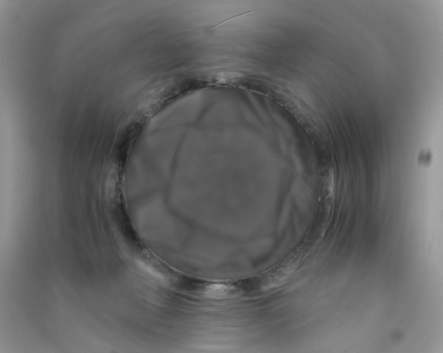 X0000090760222200708172054