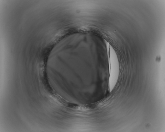 X0000090760223200708172054