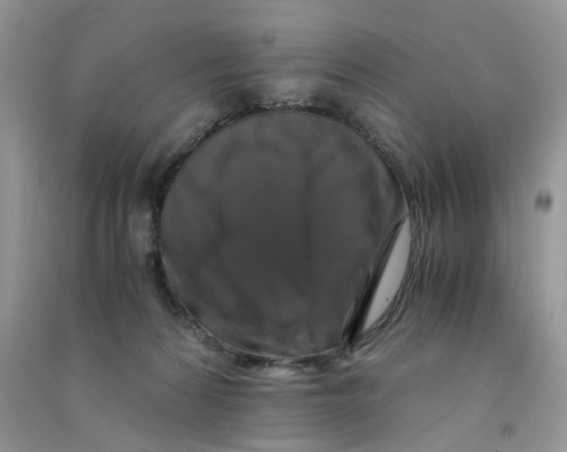 X0000090760224200708172054