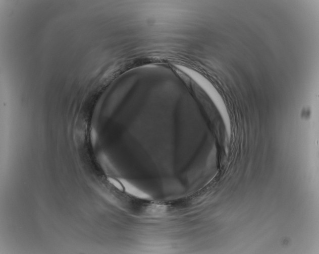 X0000090760227200708172054