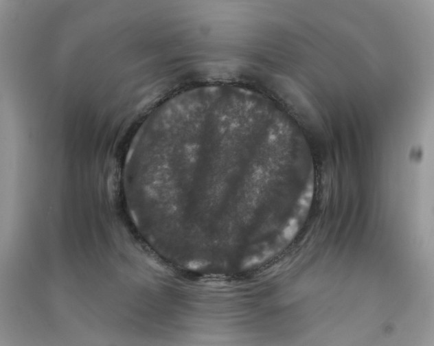X0000090760228200708172054