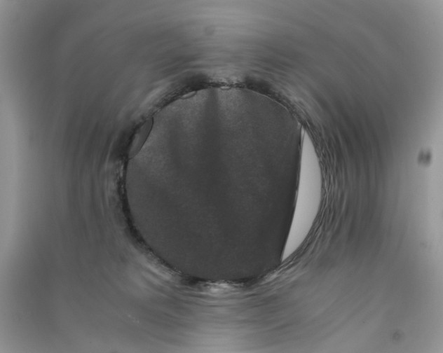 X0000090760229200708172054