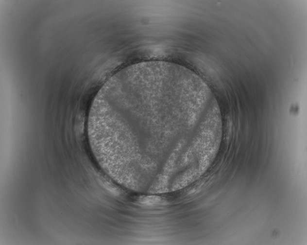X0000090760230200708172054