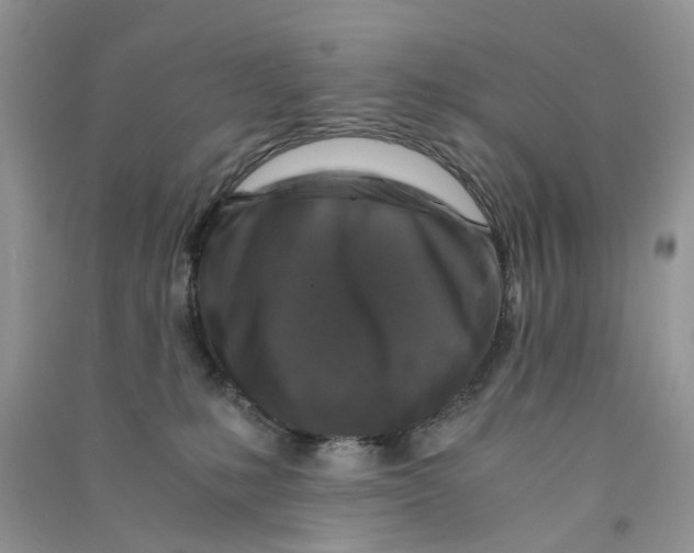 X0000090760231200708172054