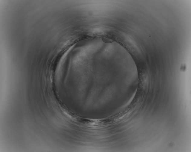 X0000090760232200708172054
