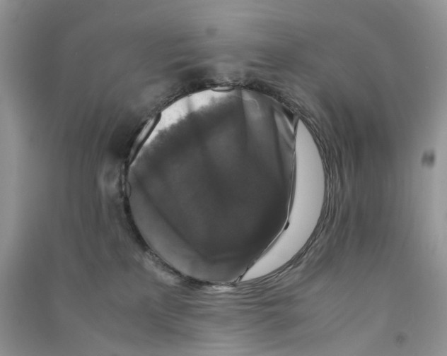 X0000090760233200708172054