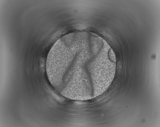 X0000090760234200708172054