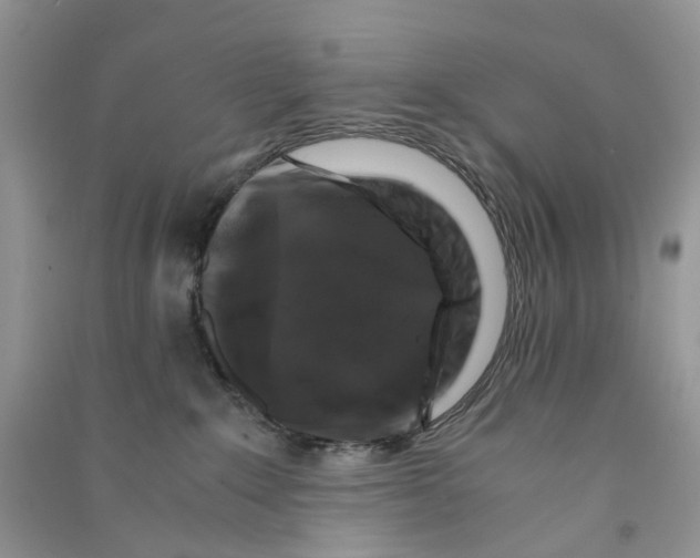 X0000090760235200708172054