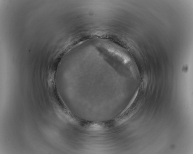 X0000090760236200708172054