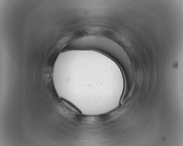 X0000090760237200708172054