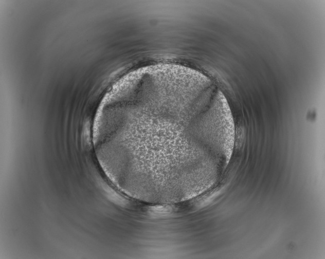 X0000090760238200708172054