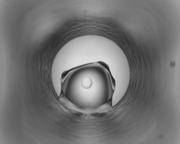 X0000090760239200708172054