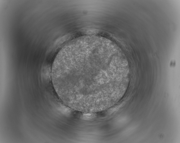 X0000090760240200708172054
