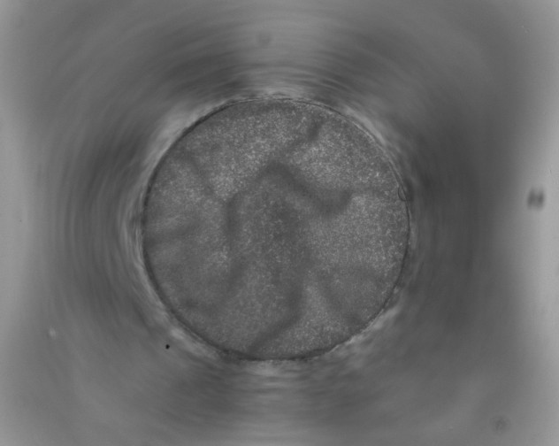 X0000090760241200708172053