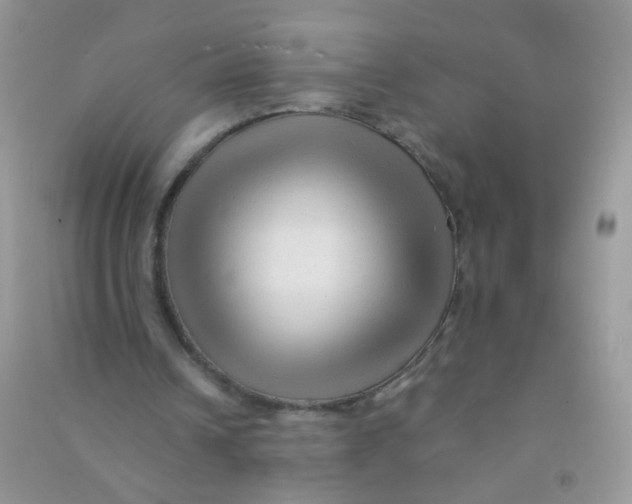 X0000090760242200708172053