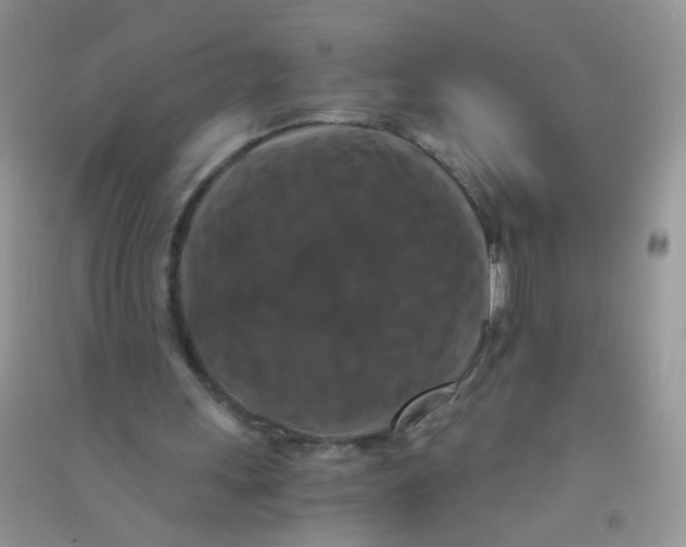 X0000090760243200708172053
