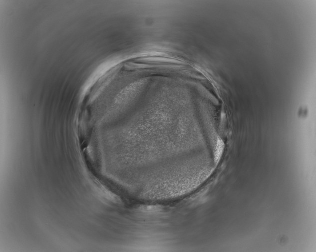 X0000090760244200708172053