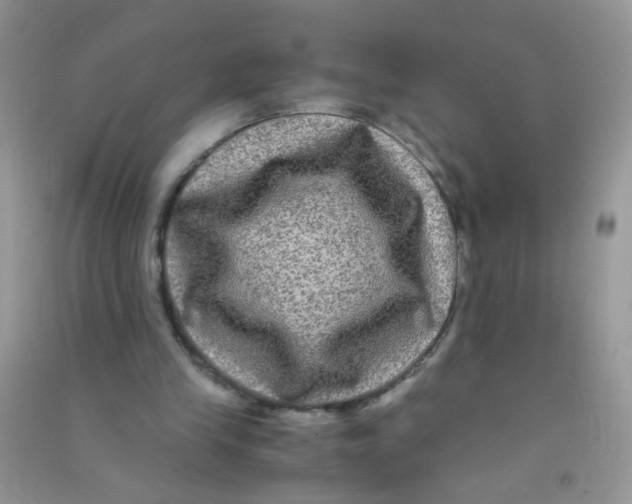 X0000090760245200708172053