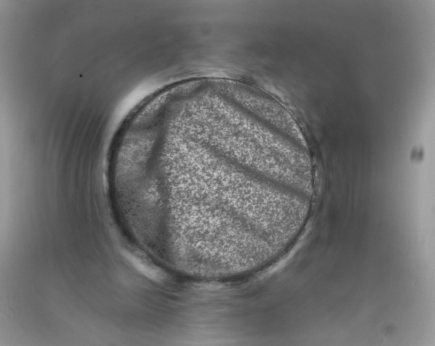 X0000090760246200708172053