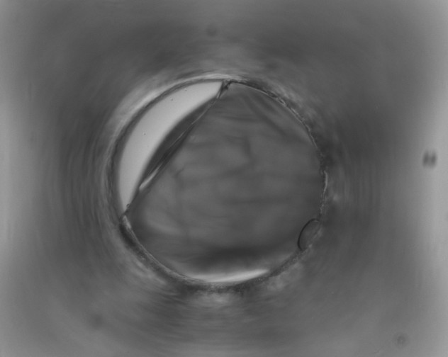 X0000090760247200708172053